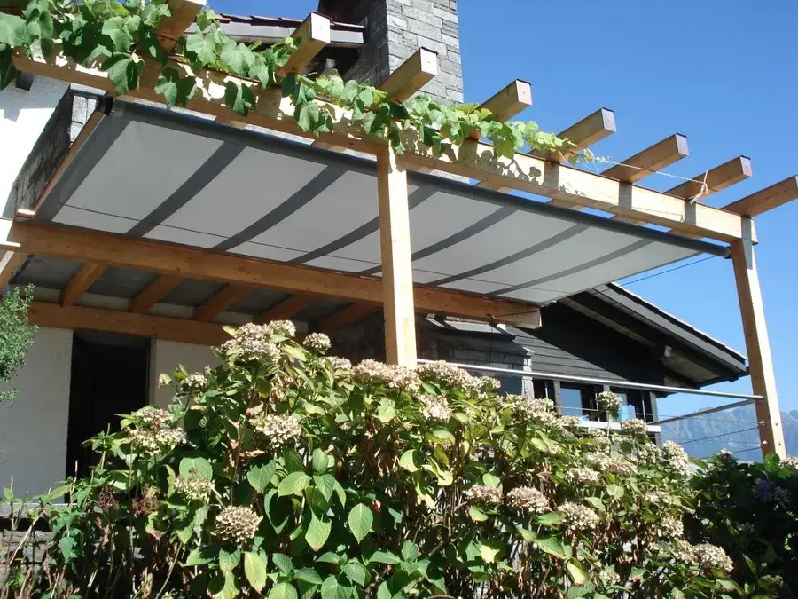 Custom patio shade structure overgrown with vines.